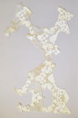 Cream Organza Swatch with White Embroidered Appliqué