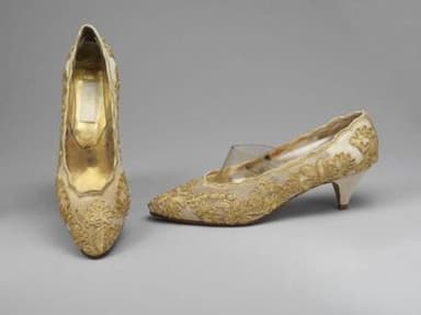 Gold Embroidered Gauze Evening Pumps with Leather