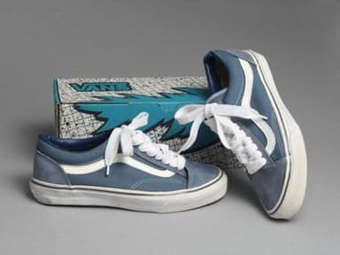 Slate Blue Suede Canvas Low-Top Skate Sneakers