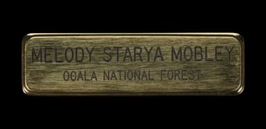 Brass Forest Service Name Badge with Engraved Text