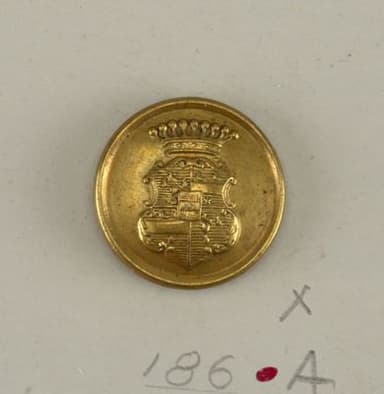 Gold-Plated Brass Military Button with Heraldic Crest