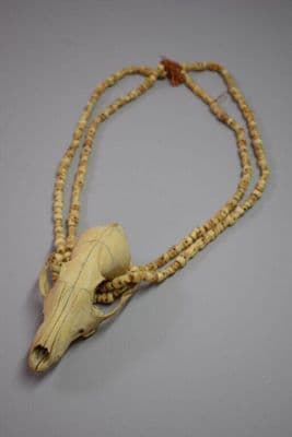 Animal Skull Statement Necklace with Bone Beads