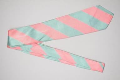 Salmon Pink Mint Green Striped Silk Club Tie