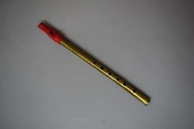 Red Plastic Tin Whistle with Golden Body
