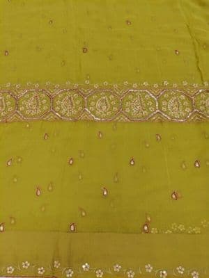 Chartreuse Chiffon Sari with Silver Red Embroidery